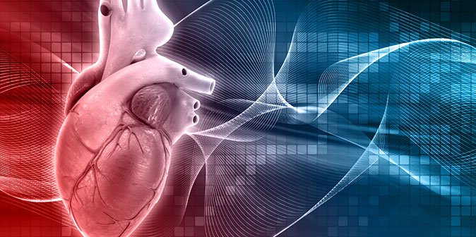 electrophysiology