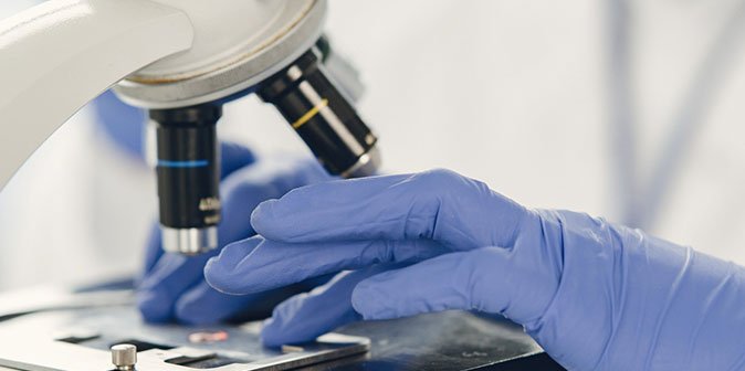 histopathology